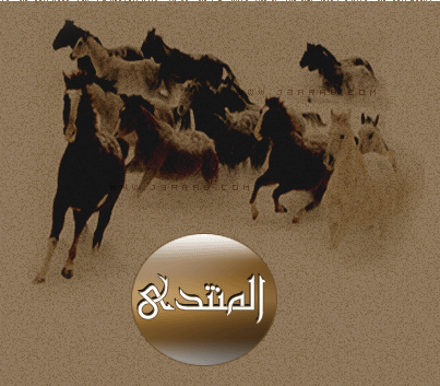 منتديات جذورالعرب